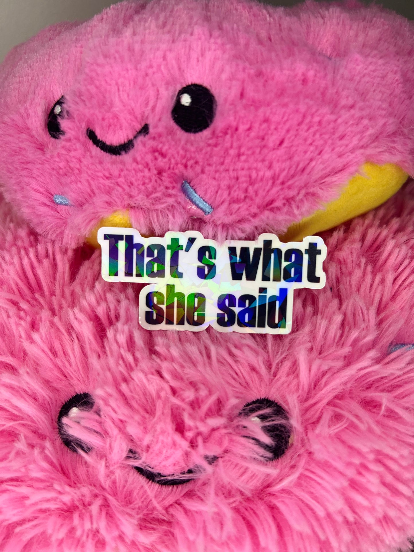 That's what she said. The Office, Michael Scott quote.